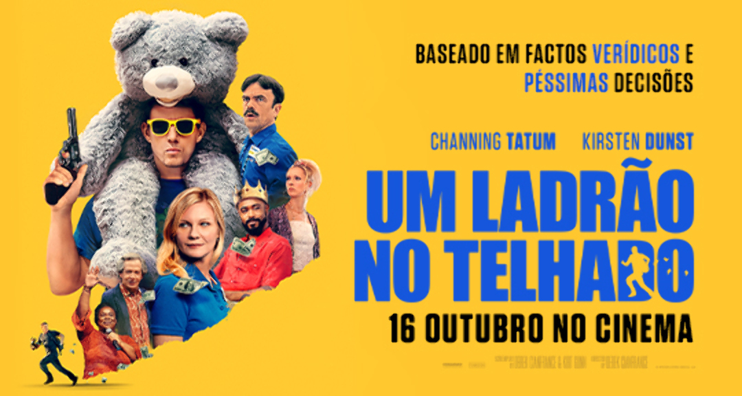 Um Ladrão No Telhado